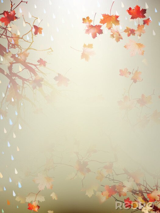 Fotobehang Herfst achtergrond met esdoorn bladeren. EPS 10