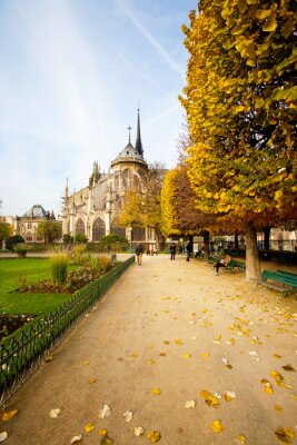 Fotobehang Herfst in een Parijs park