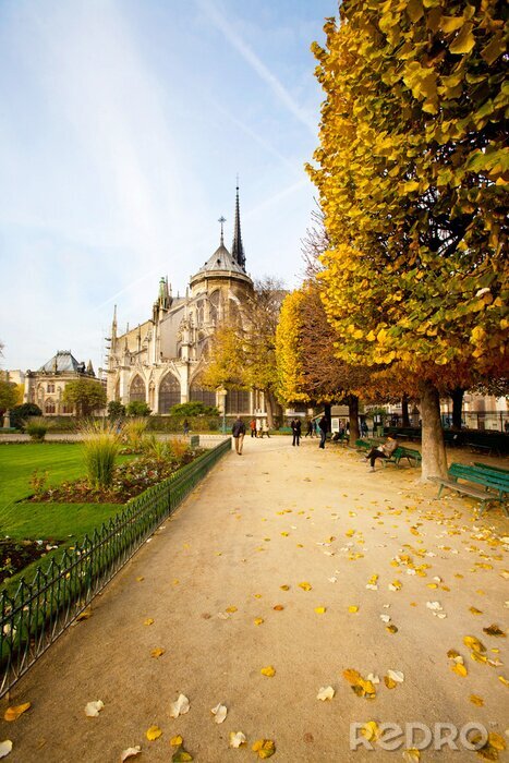 Fotobehang Herfst in een Parijs park