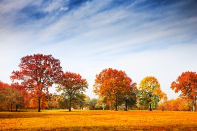 Herfst park op een zonnige dag