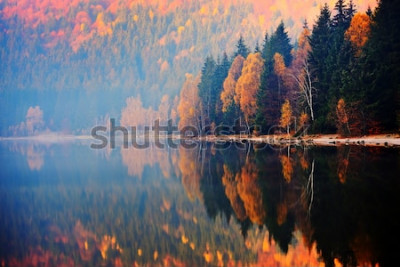 Fotobehang Herfstbomen aan het meer