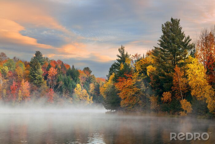 Fotobehang Herfstlandschap met bomen en een rivier