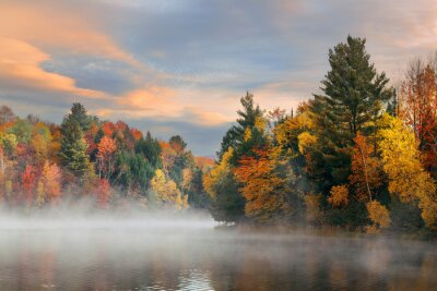 Fotobehang Herfstlandschap met bomen en een rivier