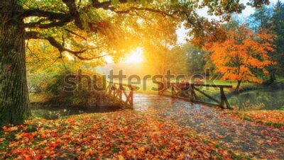 Fotobehang Herfstlandschap zonsopgang in het park