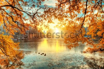 Fotobehang Herfstlandschap zonsopgang tussen de bomen