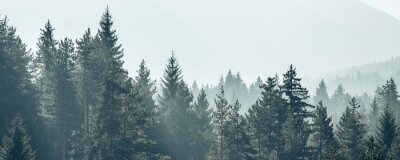 Fotobehang Herfstochtend in de bergen