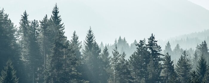 Fotobehang Herfstochtend in de bergen