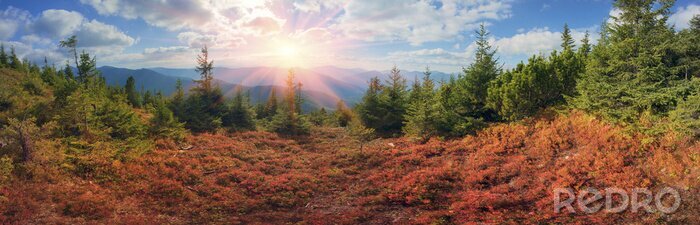 Fotobehang Herfstpanorama van de Alpen