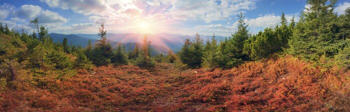 Fotobehang Herfstpanorama van de Alpen