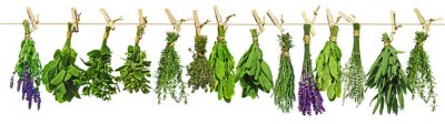 Fotobehang Het drogen van kruidenboeketten
