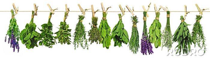 Fotobehang Het drogen van kruidenboeketten