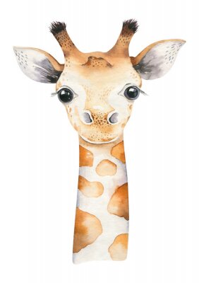 Het hoofd van een jonge giraf