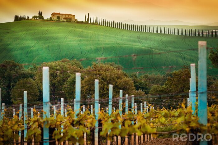 Fotobehang Het idyllische landschap van Toscane