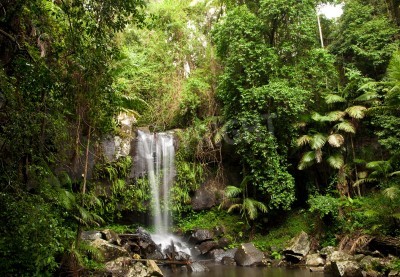 Fotobehang Het jungle landschap en een waterval
