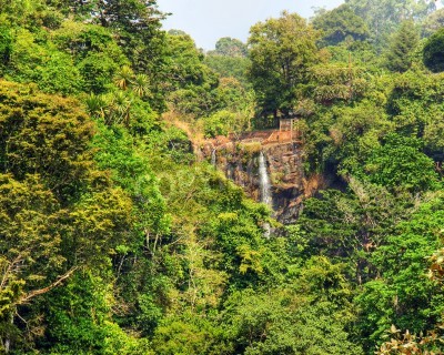 Fotobehang Het jungle landschap met een waterval