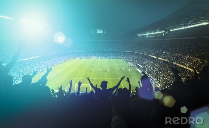 Fotobehang Het stadion tijdens de wedstrijd