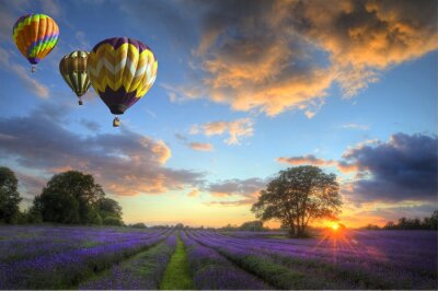 Hete lucht ballonnen vliegen over lavendel landschap zonsondergang
