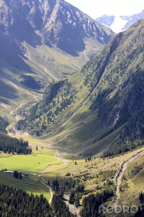 Fotobehang Hoge bergen met groen