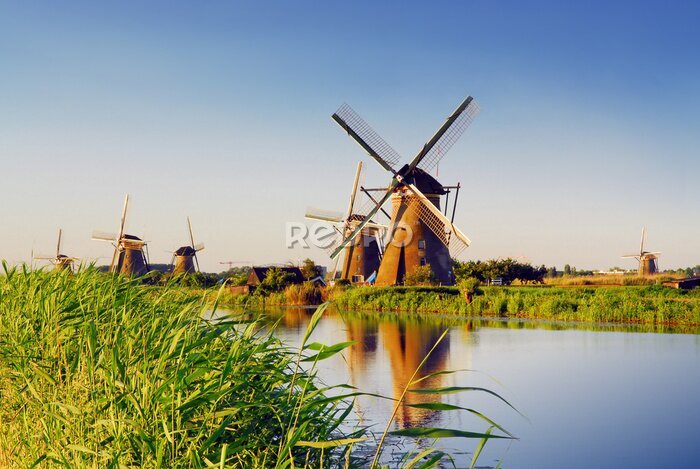 Fotobehang Hollands landschap met molens