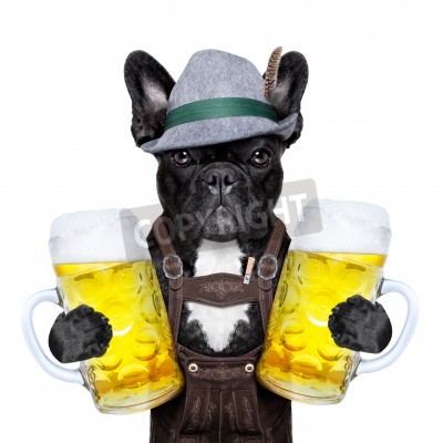 Fotobehang Hond met drankjes in bekers