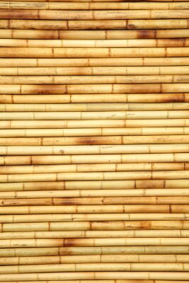 Fotobehang Horizontale muurtje van bamboe