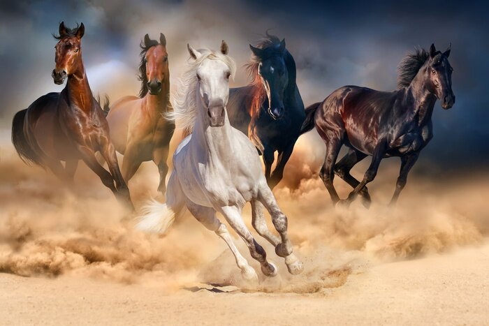 Fotobehang Horse herd run in desert sand storm against dramatic sky