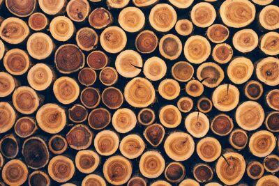 Fotobehang Houten boomstammen met muur textuur