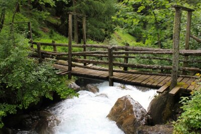 Fotobehang Houten brug in een dicht bos