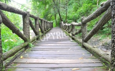 Fotobehang Houten brug op een wandelpad