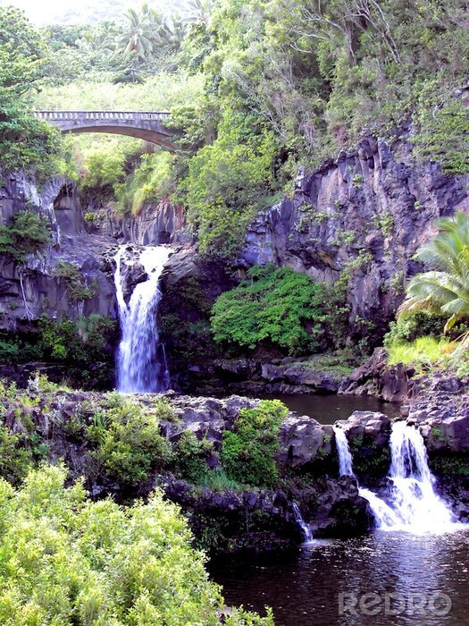 Fotobehang Houten brug over de waterval