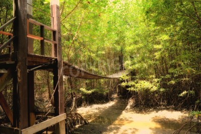Fotobehang Houten brug tussen bomen