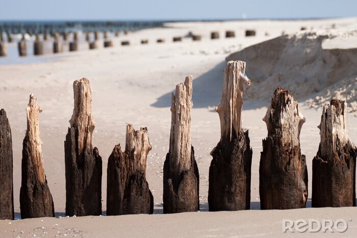 Fotobehang Houten golfbrekers bij de zee