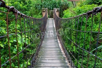 Fotobehang Houten hangbrug in de jungle