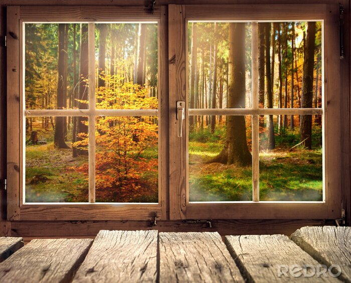 Fotobehang Houten hut met uitzicht op een herfst bos