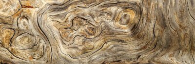 Fotobehang Houten plank textuur met korrels