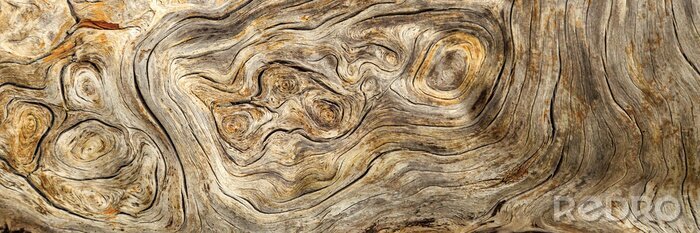 Fotobehang Houten plank textuur met korrels