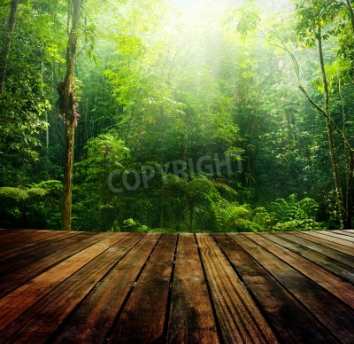 Fotobehang Houten platform in de jungle