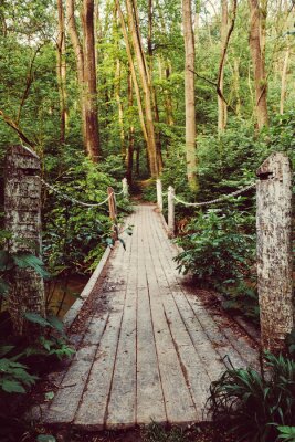 Fotobehang Houten touwbrug in een bos