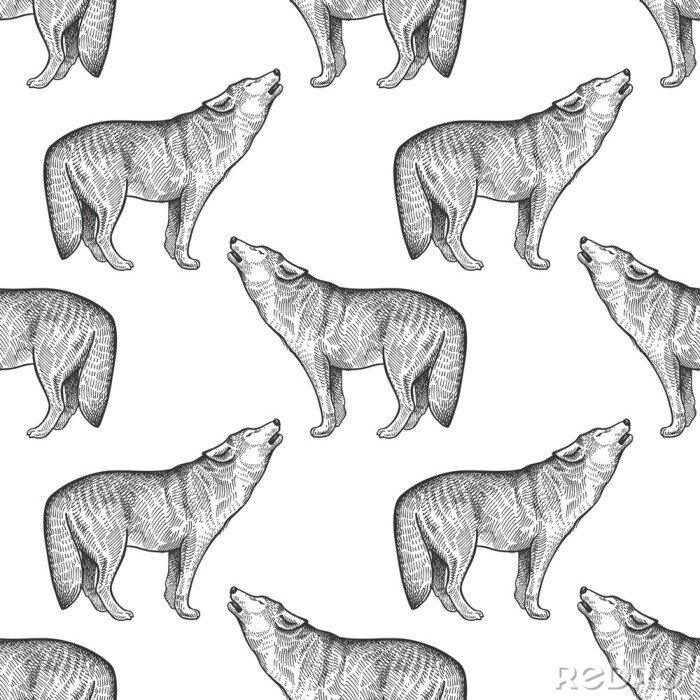 Fotobehang Huilende wolven geschetst in potlood