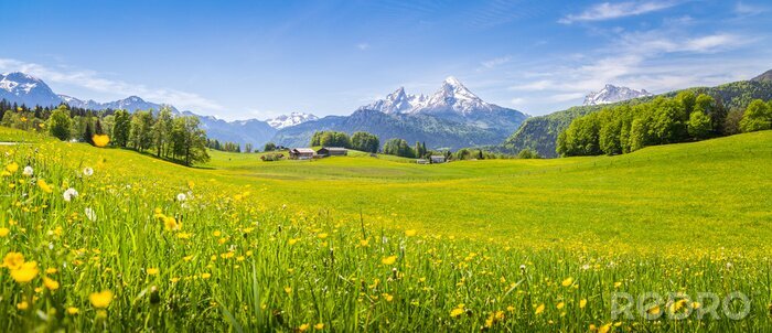 Fotobehang Idyllisch landschap in de Alpen met bloeiende weiden in de zomer