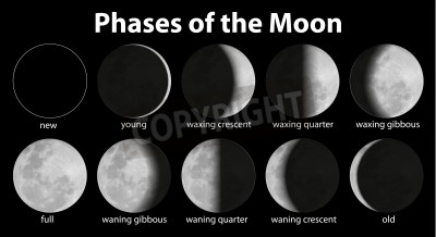 Fotobehang Illustratie met de fasen van de maan