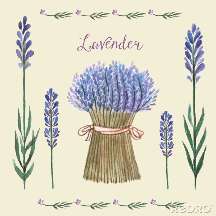 Fotobehang Illustratie met lavendelbloemen