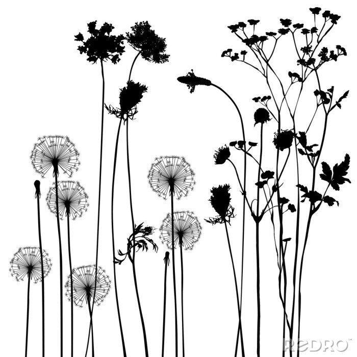 Fotobehang Illustratie met verschillende soorten bloemen