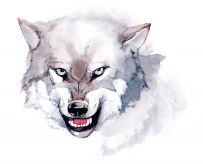 Fotobehang Illustratie van een wolf in aquarel