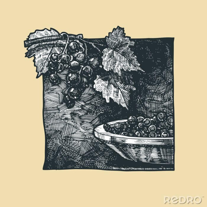 Fotobehang Illustratie van zwarte bes