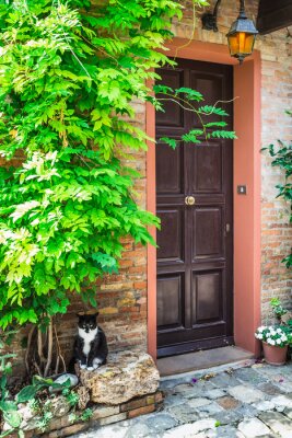 Fotobehang Ingang van de oude Italiaanse huis en de kat