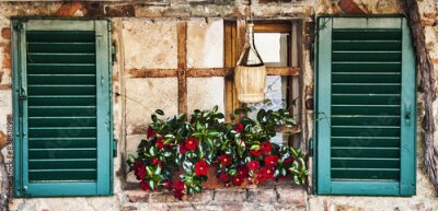 Fotobehang Italiaans raam met bloemen