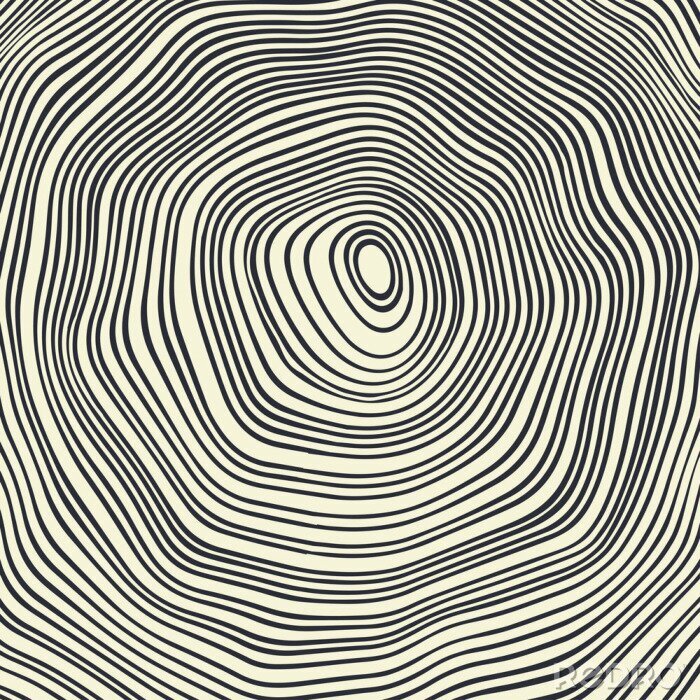 Fotobehang Jaarringen in hout