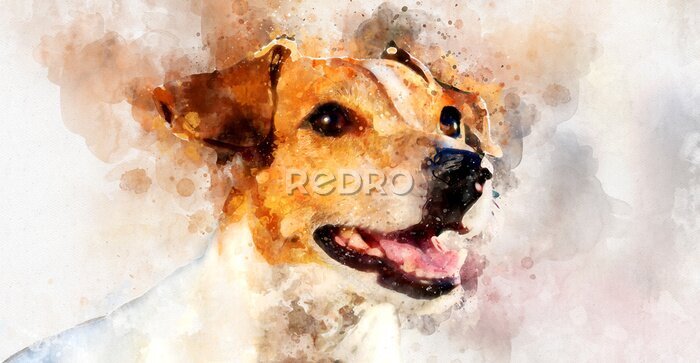 Fotobehang Jack Russell Terrier op aquarel achtergrond