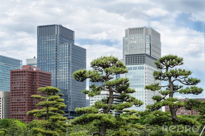Fotobehang Japanse tuin en gebouwen van Tokio